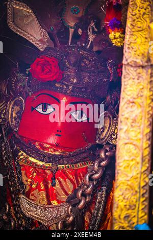 Il Dio della pioggia, noto anche come Rato Machindranath all'interno del carro il giorno del primo giorno di Rato Machindranath Jatra. Foto Stock