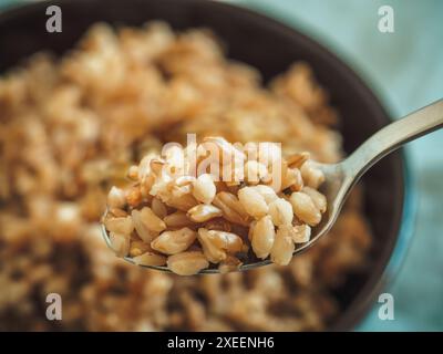 Farro bollito in cucchiaio, fuoco selettivo Foto Stock
