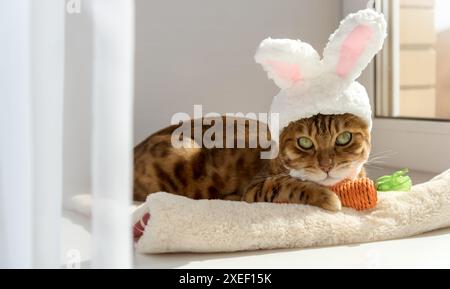 Gatto del Bengala con un giocattolo di carote e un cerchietto con le orecchie sulla testa. Foto Stock