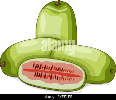 Intero e tagliato l'anguria Ali Baba. Citrullus lanatus. Verdure. Clipart. Illustrazione vettoriale isolata. Illustrazione Vettoriale