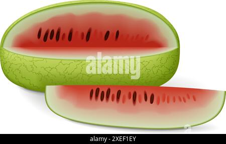 Tutto e mezzo dell'anguria Ali Baba. Citrullus lanatus. Frutta e verdura. Illustrazione vettoriale isolata. Illustrazione Vettoriale