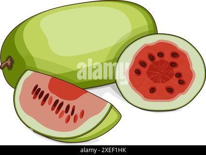 Intero e tagliato l'anguria Ali Baba. Citrullus lanatus. Verdure. Clipart. Illustrazione vettoriale isolata. Illustrazione Vettoriale