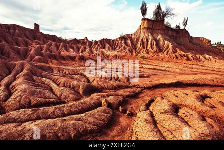 Il deserto di Tatacoa in Colombia ha bizzarre formazioni rocciose in alcuni luoghi. Si trova nella parte settentrionale del Departamento del Foto Stock