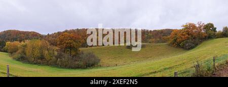 Ampio panorama autunnale di terreni collinari con foreste. Alberi gialli e erba verde ancora viva, un prato pulito e una recinzione per animali in primo piano. Foto Stock