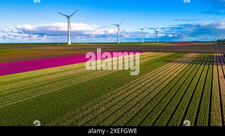 Parco di mulini a vento offshore con nuvole e un cielo blu, parco di mulini a vento nel mare drone vista aerea con turbina eolica Flevoland Neth Foto Stock
