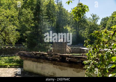 Fumo che si innalza dal camino della casa tradizionale rumena, con un fondamento in pietra e un tetto in legno, nella regione della bucovina in romania Foto Stock