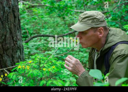 Maschio che gode dell'odore dei fiori in natura. Uomo anziano in un prato, tranquillità tra le erbe. Splendidi fiori nella foresta, l'unità con la natura selvaggia. pe Foto Stock