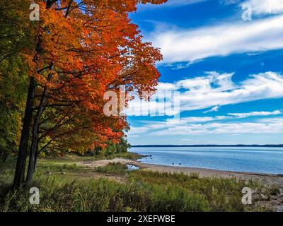 Autunno sulle rive del lago Huron, uno splendido paesaggio autunnale Foto Stock