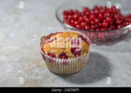 Muffin con ribes rosso, dessert fruttato fatto in casa e un gustoso spuntino estivo, concetto di cottura, sfondo in pietra leggera, spazio per copiare, messa a fuoco selezionata, stretto Foto Stock