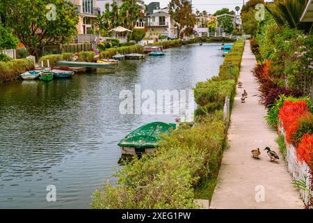 Pittoreschi e pittoreschi canali fiancheggiati da palme e case colorate a Venice, California Foto Stock