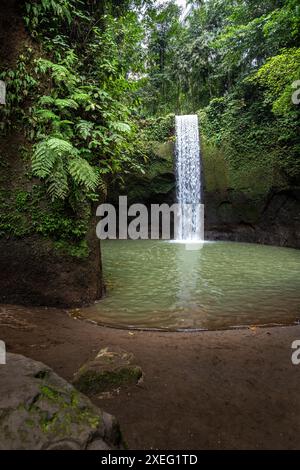 Cascata di Tibumana, in una gola verde. Destinazione vicino a Ubud, Bali Foto Stock