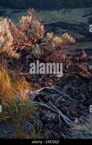Tramonto e chiaro di luna al punto panoramico dell'Owyhee Canyon dell'Oregon Foto Stock
