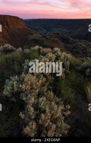 Tramonto e chiaro di luna al punto panoramico dell'Owyhee Canyon dell'Oregon Foto Stock