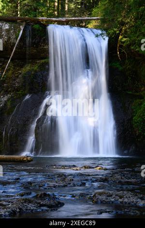 Sipario di acqua setosa che cade sopra le Upper North Falls a North Fork Silver Creek nel Silver Falls State Park Foto Stock
