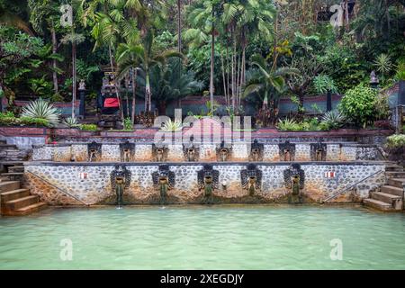 Sorgenti termali calde, bagni termali nella giungla tropicale. Piscina solforosa rituale per nuotare. Banjar, Bali Foto Stock