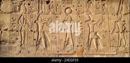 Scene di rilievo BAS e iscrizioni sulla faccia meridionale della cinta che racchiude il Tempio di Amon, nel complesso del Tempio di Karnak Foto Stock