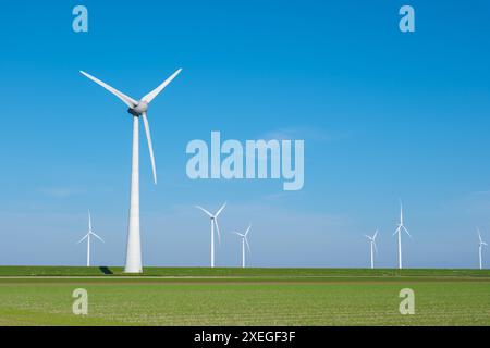 Un gruppo di eleganti mulini a vento si erge alto in un lussureggiante campo verde nel Flevoland olandese, catturando la potenza del vento a g Foto Stock
