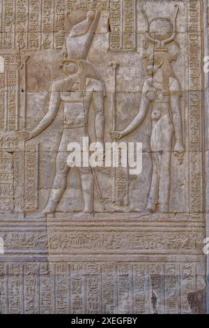 Bassorilievo nel tempio di Kom Ombo nel Governatorato di Assuan che mostra le divinità Haroeris e Hathor Foto Stock