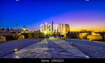 Viale delle Sfingi con testa umana che conduce al pilone del Tempio di Luxor di Ramsete II Foto Stock