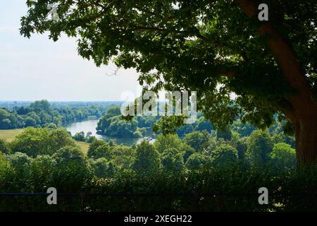 Il Tamigi da Richmond Hill, Greater London UK, in estate Foto Stock