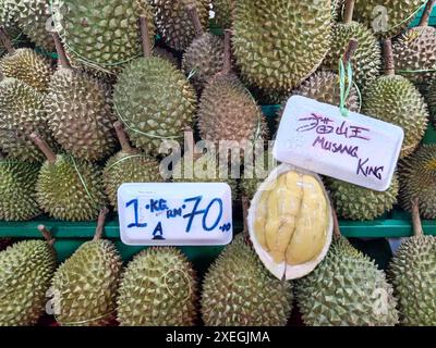 Musang King è una cultivar malese di durian. Apprezzato per la sua insolita combinazione di sapori amari e dolci, il Musang King è il variet più popolare Foto Stock