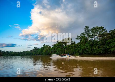 Barche con turisti che navigano sul fiume Kinabatangan. Sabah, Borneo, Malesia. Foto Stock