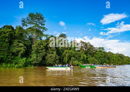 Barche con turisti che navigano sul fiume Kinabatangan. Sabah, Borneo, Malesia. Foto Stock