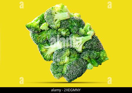 I broccoli freschi stanno sul bordo. Fioriere di broccoli organici congelate in forma rettangolare in un unico pezzo Foto Stock