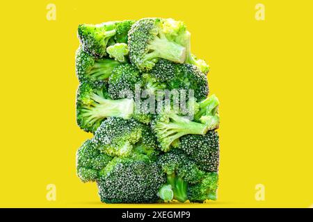 Fioriere di broccoli organici congelate in forma rettangolare in un unico pezzo su sfondo giallo isolato. H Foto Stock