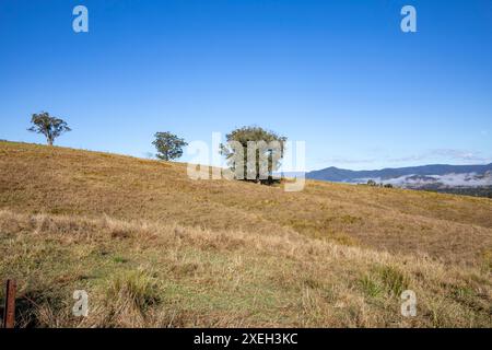 Barrington and Gloucester Tops countryside in regional New South Wales,Australia Stock Photo