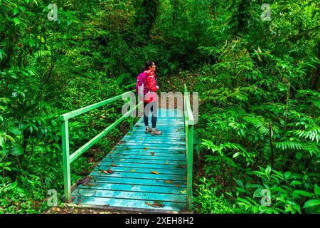 Escursionista che attraversa un ponte nella riserva naturale di Monte Verde, provincia di Alajuela, Costa Rica Foto Stock