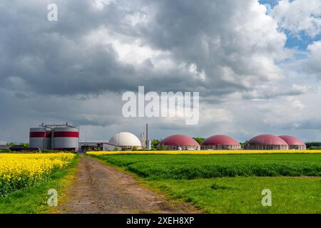 Impianto di biogas a Wetterau, Assia Foto Stock