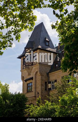 Collezione di sculture Liebieghaus sul Museumsufer, simile a un castello, Francoforte sul meno, Germania, Europa Foto Stock