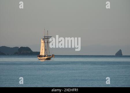 Vecchio veliero nella Baia delle isole durante le celebrazioni di Matariki, nuova Zelanda Foto Stock