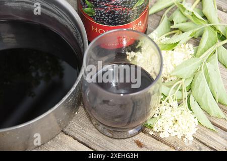 Sambucus nigra, sambuco, succo caldo Foto Stock