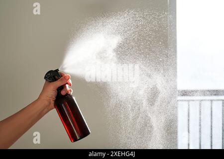 La mano di una donna spruzza un deodorante per ambienti in una stanza. Foto Stock