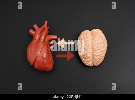 Immagine concettuale che raffigura la connessione tra il cuore e il cervello, rappresentata da frecce su sfondo nero. Ideale per la medicina e lo psicolo Foto Stock