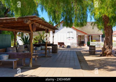 San Diego, California - 16 aprile 2024: Area panca e tavolo in legno sotto un grande albero nella città Vecchia dall'edificio Miner's Gems. Foto Stock