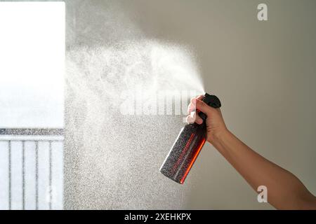 La mano di una donna spruzza un deodorante per ambienti in una stanza. Foto Stock