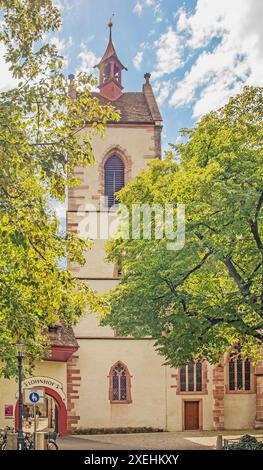 Leonhardskirche e Lohnhof Basilea Foto Stock