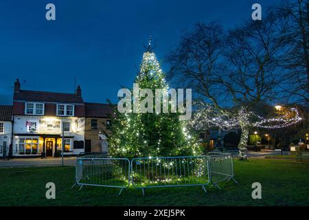 Christmas Tree on the High Green, Great Ayton, North Yorkshire Foto Stock