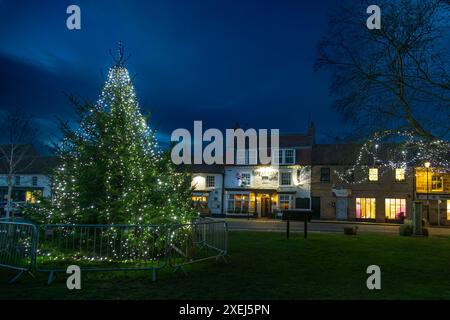 Christmas Tree on the High Green, Great Ayton, North Yorkshire Foto Stock