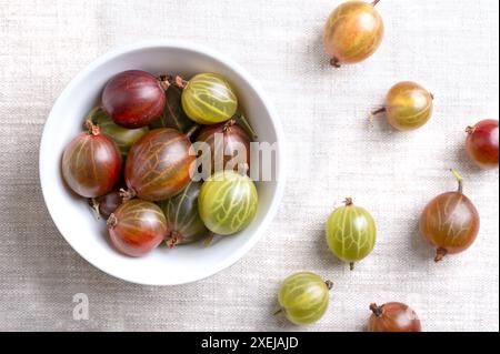 Uva spina verde e rossa in una ciotola bianca su tessuto di lino. Bacche fresche mature, frutta di Ribes uva-crispa, conosciuta come uva spina europea. Foto Stock