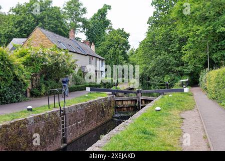 Il canale di Basingstoke e la campagna circostante vicino a West Byfleet Surrey in una giornata estiva, Inghilterra Regno Unito Foto Stock