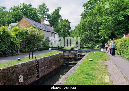 Il canale di Basingstoke e la campagna circostante vicino a West Byfleet Surrey in una giornata estiva, Inghilterra Regno Unito Foto Stock