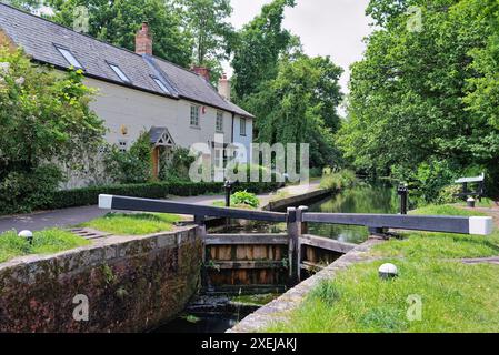 Il canale di Basingstoke e la campagna circostante vicino a West Byfleet Surrey in una giornata estiva, Inghilterra Regno Unito Foto Stock