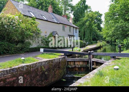 Il canale di Basingstoke e la campagna circostante vicino a West Byfleet Surrey in una giornata estiva, Inghilterra Regno Unito Foto Stock