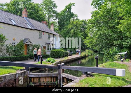 Il canale di Basingstoke e la campagna circostante vicino a West Byfleet Surrey in una giornata estiva, Inghilterra Regno Unito Foto Stock