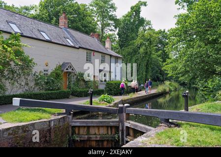 Il canale di Basingstoke e la campagna circostante vicino a West Byfleet Surrey in una giornata estiva, Inghilterra Regno Unito Foto Stock