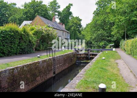 Il canale di Basingstoke e la campagna circostante vicino a West Byfleet Surrey in una giornata estiva, Inghilterra Regno Unito Foto Stock